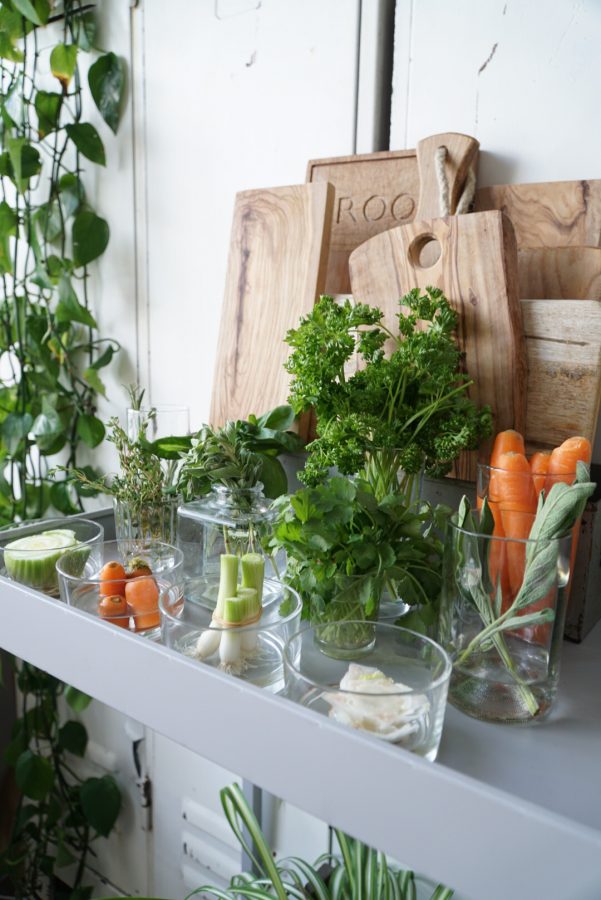 Land plannen Dag DIY groenten en kruiden kweken op water - Happy Handmade living